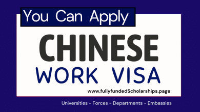 Chinese Work VISA 2023 Application Process and Fee Requirement