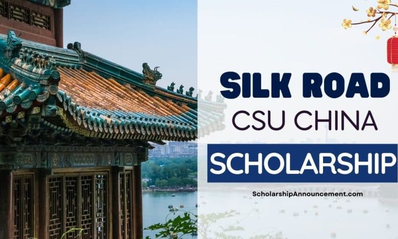 Silk Road Scholarships 2024 at Central South University (CSU)