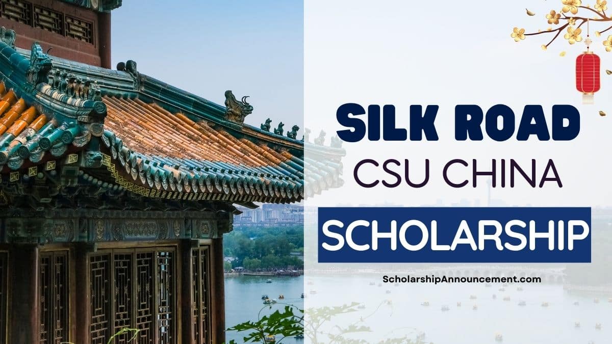 Silk Road Scholarships 2024 at Central South University (CSU)