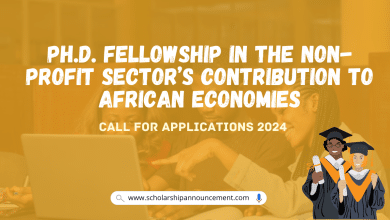 Ph.D. Fellowship In The Non-Profit Sector’s Contribution To African Economies