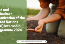 Food and Agriculture Organization of the United Nations (FAO) Internship Programme 2024