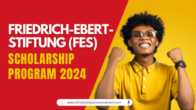 Friedrich-Ebert-Stiftung (FES) Scholarship Program 2024