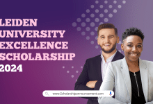 Leiden University Excellence Scholarship 2024