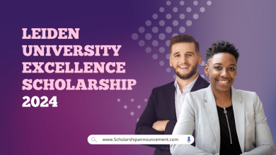 Leiden University Excellence Scholarship 2024