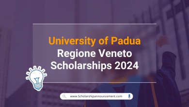 Regione Veneto Scholarships 2024