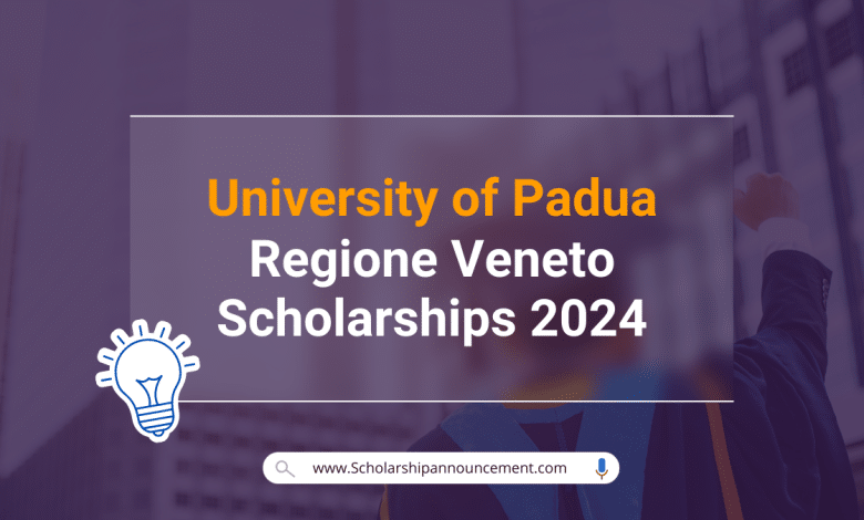 Regione Veneto Scholarships 2024
