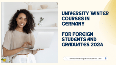 University Winter Courses in Germany